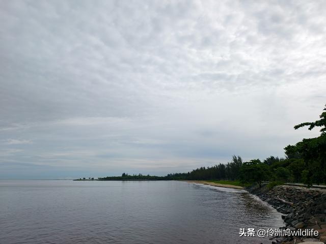 马来西亚(33)砂拉越州⑦美里市加拿大山、海滨公园等