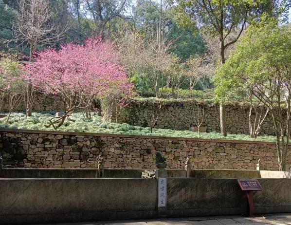 宁波保国寺一日游门票价格，旅游攻略，交通路线