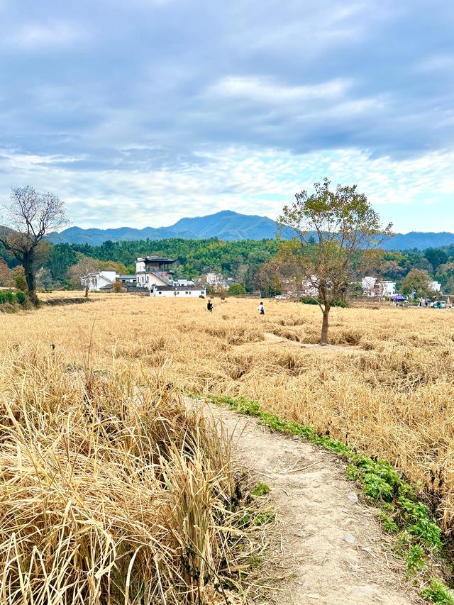 追着晚秋(黟县宏村镇塔川村)