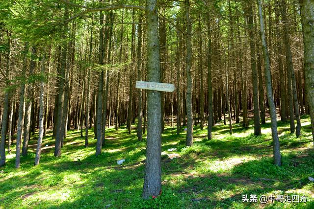 河北麻田岭（上）：绿野铺毡接云影、风轮伴路探山魂