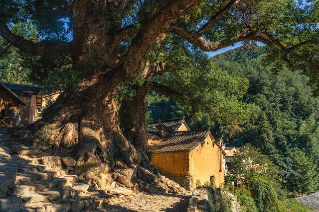 清明时节去踏春，这7个地方清静风景好，3天短假期也够玩