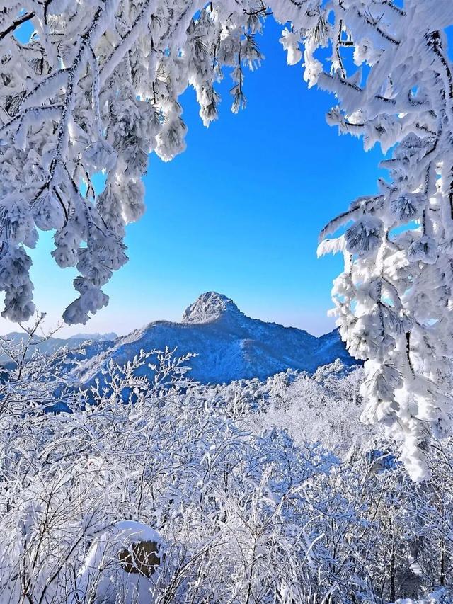 山东冬日奇观即将陆续上演，冰雪里的自然史诗等你解锁！