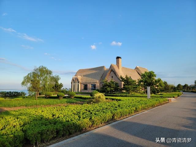 夏风终散，岁岁花期再难逢