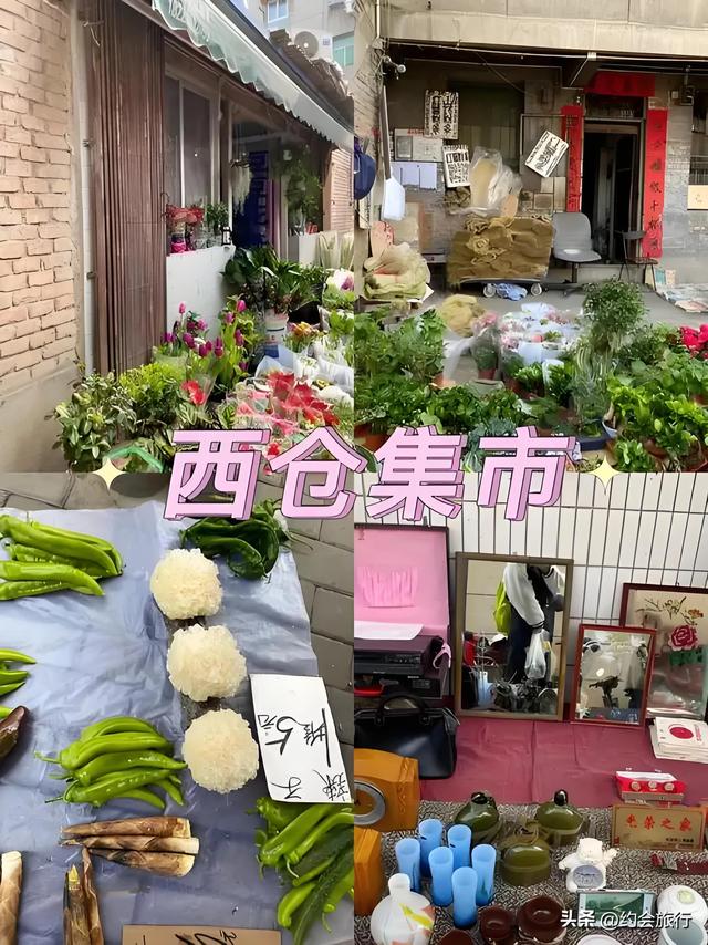 西安旅游真实体验：从被坑到真香，这届游客的反套路指南太野了