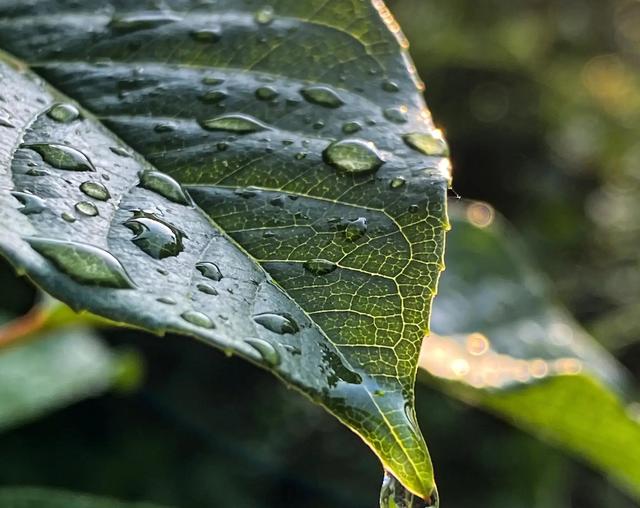 生肖猪注意：12月18到20号，两件麻烦事逼近，提前准备不吃亏！