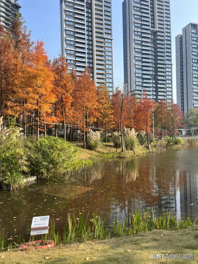 成都公园地图丨晒太阳不打挤的20个公园，东南西北全覆盖