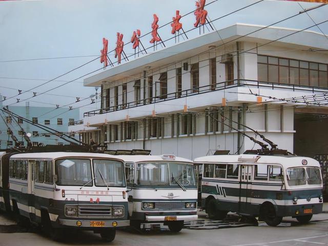 妹妹嫁豪门15年未回家 父亲病危她带回一麻袋 打开后全村老人都跪了