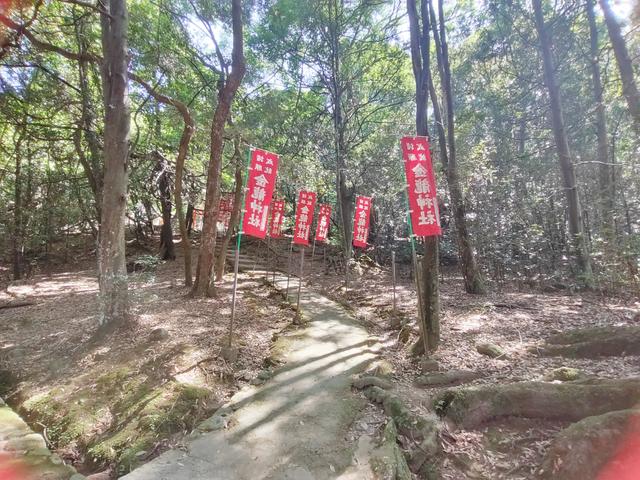 因为鹿，我爱上了奈良