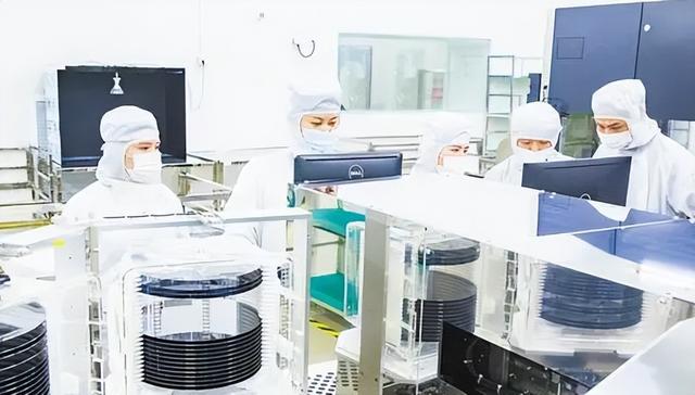 荷兰还不长记性？不给中国关键零件，高官放话：不后悔这么做