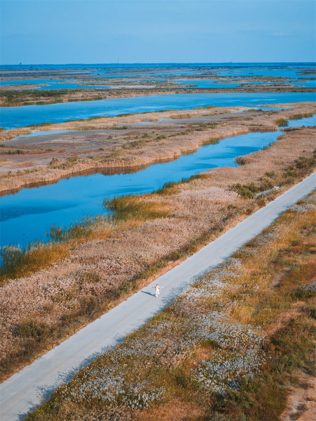 为了这些照片，我专门来了一趟东营！