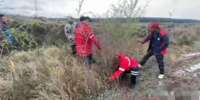 破防了！辽宁失联女童亲口说原因：不是人贩子，就是想找奶奶