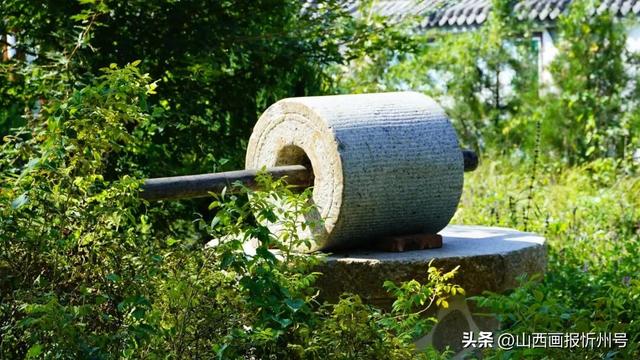 又见奇村 | 你知道吗？南高藏着一个“窑洞秘境”！