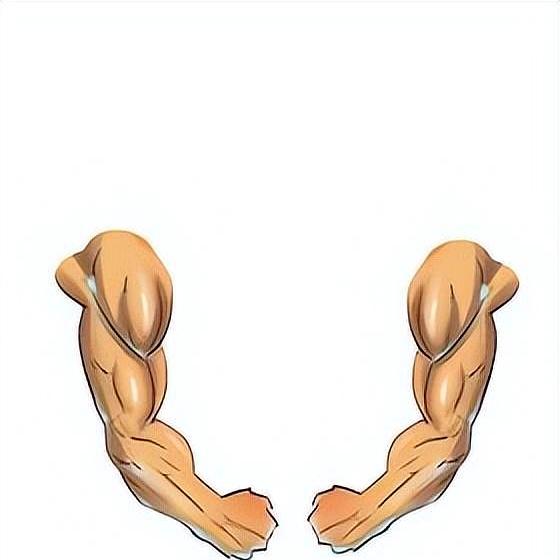 肌肉是如何生长的？如何留住肌肉？以下这几点，让你的肌肉更强壮