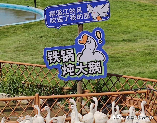 人少自由的江浙沪小众秘境，超级治愈并滋养心灵，适合周末来一趟