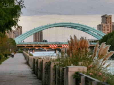 奉贤的秋天，才是上海隐藏的“顶流”！