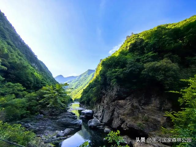 强烈推荐！适合全家出游的避暑胜地，清凉舒适风景美！