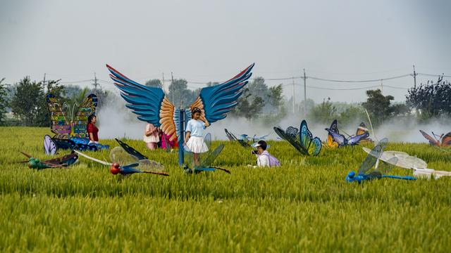辽宁沈阳：一处画在田间人在画中的景区吸引来自四面八方的游人