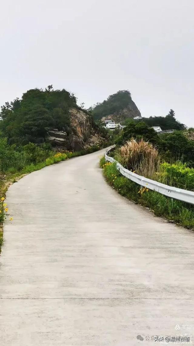 打卡最美风车花海！台州这个森林公园的夏天最烂漫，你可去过？