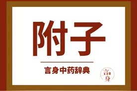 附子（温里药）图片