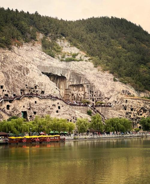 江苏没想到，山东也没想到，如今的中国河南，已成为全国焦点