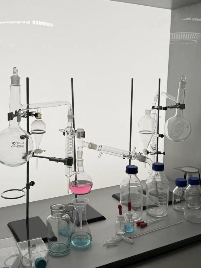 上海科技馆焕新升级，今天面向公众开启首场压力测试！小布带你探营→