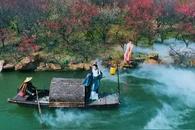 “梅”好如你，瘦西湖第二届“梅花艺术节”开幕图片