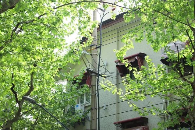 码住！上海0元逛，分享不花钱的citywalk宝藏路线