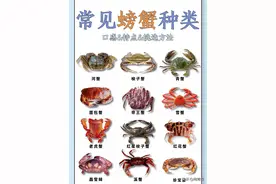 海鲜市场的螃蟹你都分得清吗？图片