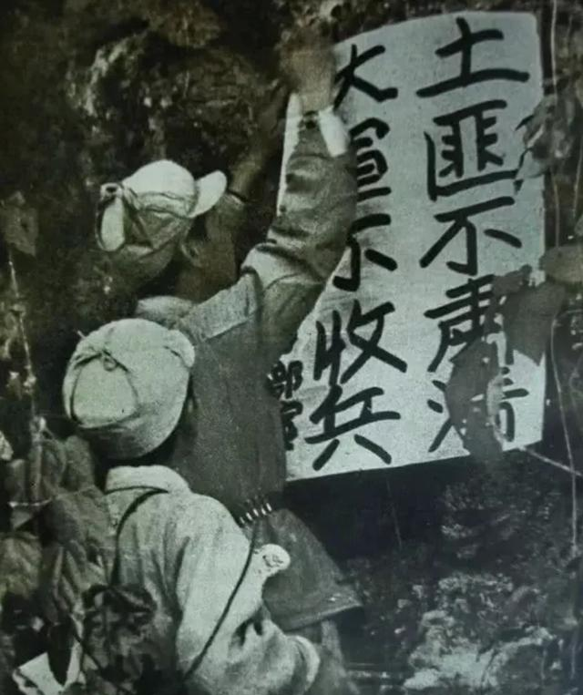 我国最后一个土匪，杀害叔叔，霸占婶婶，让解放军追踪了15 年！