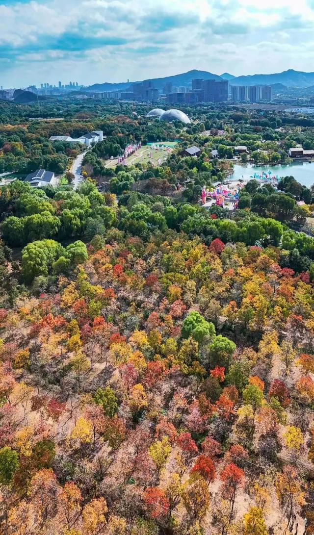 苏州处处的皆景！美！美！美！