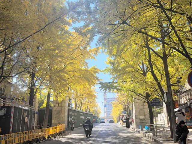 老贵阳·城厢街市丨在烟火中“复刻”百年文脉！贵阳历史城垣步道即将亮相