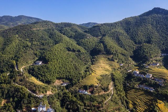 帮美女邻居抓老鼠，我钻进床下，却发现了一地的“玩具”