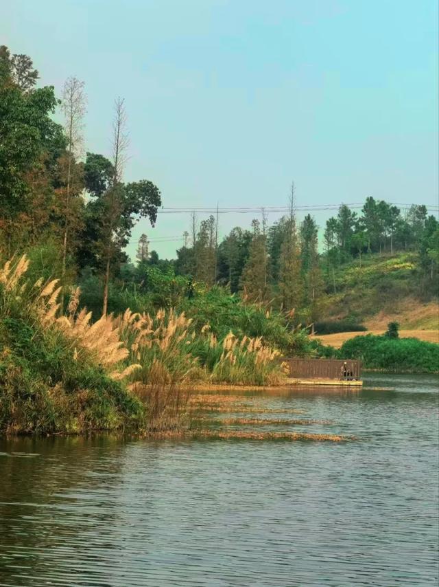 周末晒太阳!这几地有湖水+草坪+1h可达