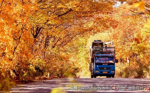 【镜头里的鸡西】鸡西这些“勾魂”美景，美到窒息！你打卡过几个？