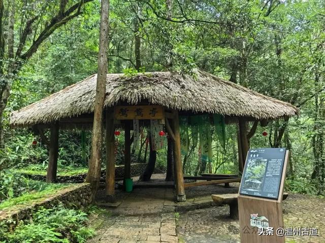 温州这个以畲族始祖命名的4A级景区，秘藏着一座“生物王国”！