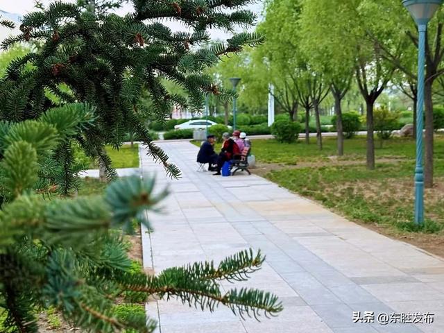 太美了！东胜街边“藏”了一个公园~