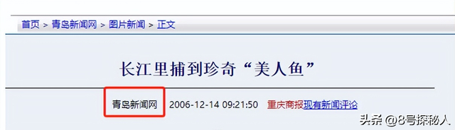 2006年长江惊现“美人鱼”，重庆渔民误捕一条，专家：出水必死