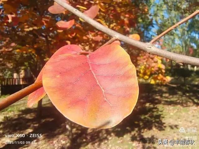 青岛即墨马山寻趣:一座地质公园的秋日私语|申艳娟