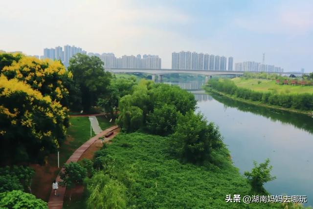 1小时直达!长沙藏了片“狗尾巴草秘境”,免费露营+玩水,人少景美,错过等一年!
