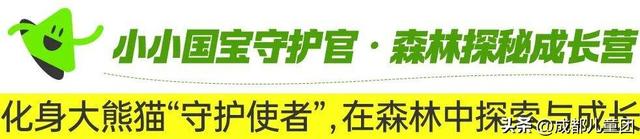 国庆去哪儿？草原金秋、潮汕舌尖味、熊猫守护……4条错峰优选线路，安排！