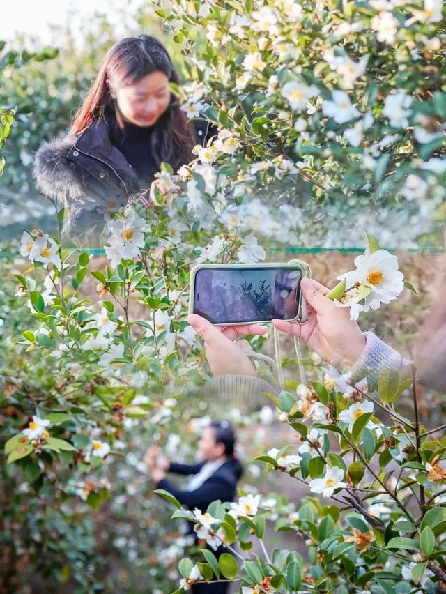 韶关冬日BBQ营地推荐来了→美食美景全都满足你
