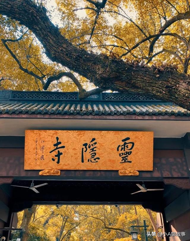 又一5A景区官宣永久免费！年入数亿，关键是秋天美到词穷！