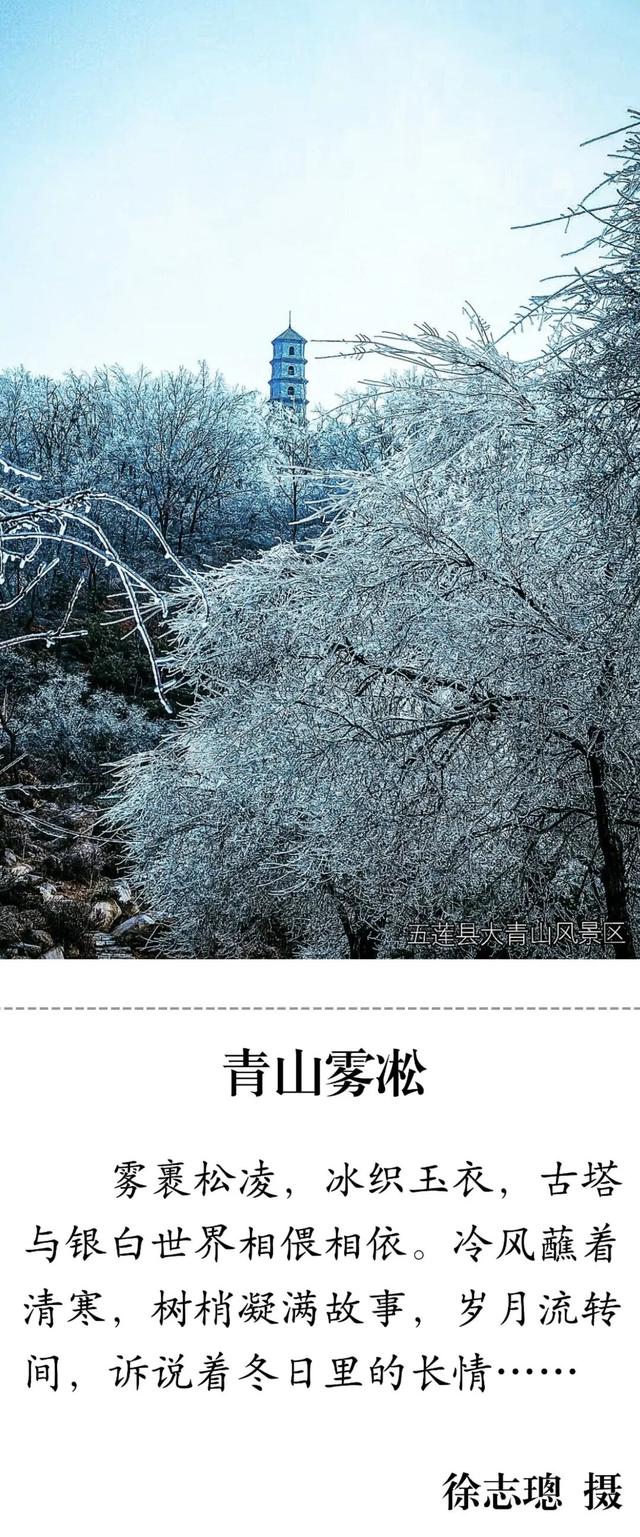 都被拍下来了！快来看，日照的！