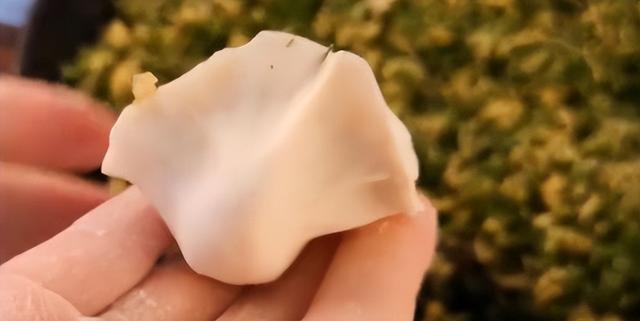 7 号就立冬了，立冬多吃这馅的饺子，散寒止痛、和胃理气，且比白菜萝卜还鲜，多吃不长肉，太香