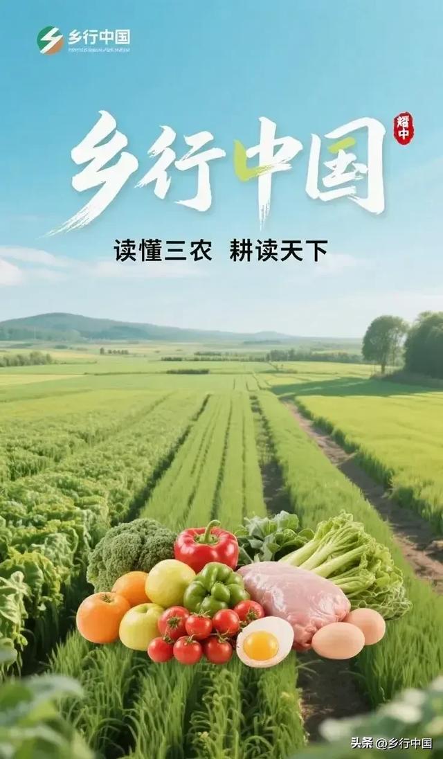 钢轨上的全球革命：两洋铁路如何以“五盟会师”撕裂美国霸权铁幕