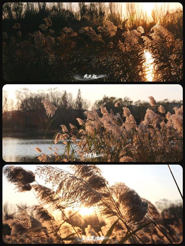 用电影的方式“打开”初冬！每一帧，都浪漫