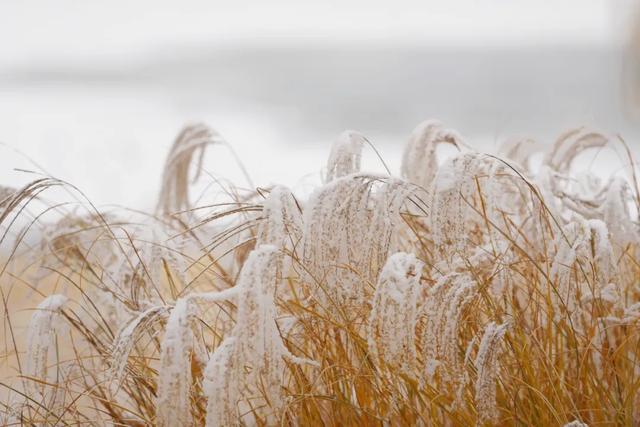 雪落石景山,美景入画来!石景山这里的雪景大片,请您欣赏!