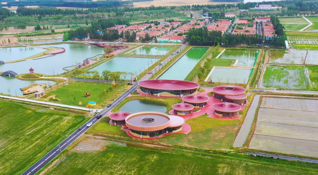 黄河·稻乡湾：济阳国庆五日盛宴，每天都是新体验！