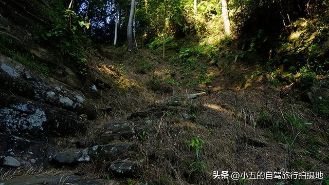 2025芙蓉镇暴走攻略！瀑布灯光秀+刘晓庆米豆腐，夜游爽到尖叫！