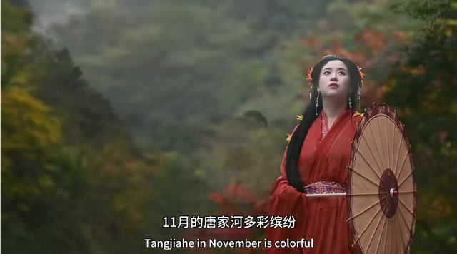 金戈铁马古青溪 熊猫彩林唐家河丨唐家河红叶季系列活动精彩来袭……